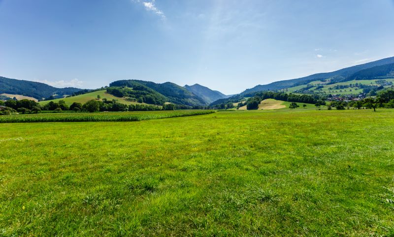 Freiraum schaffen? - KI und Menschen antworten